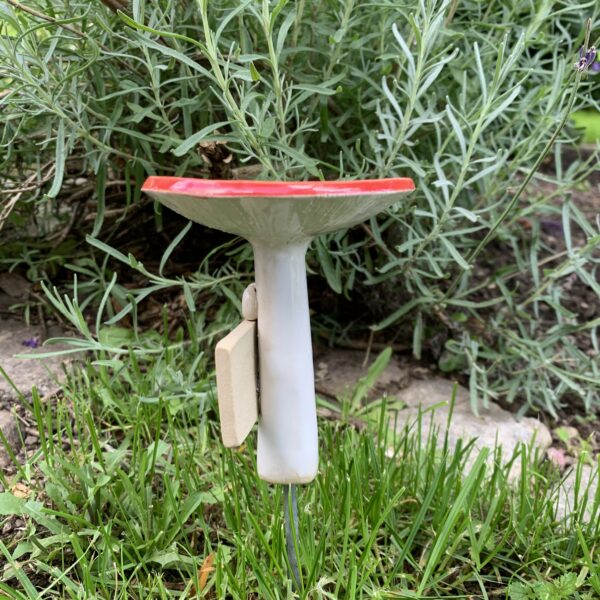 Insektentränke Glückspilz – Bild 3