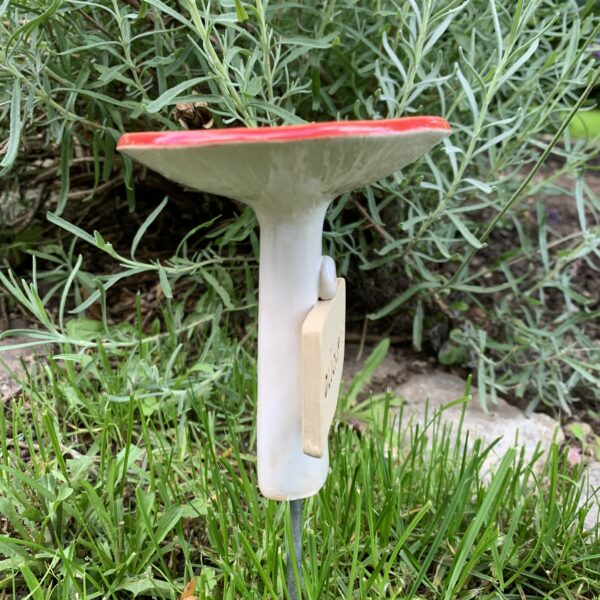 Insektentränke Glückspilz – Bild 4