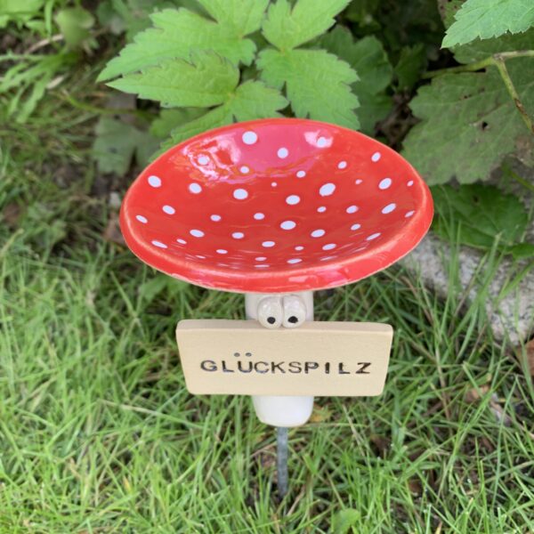 Insektentränke Glückspilz – Bild 6