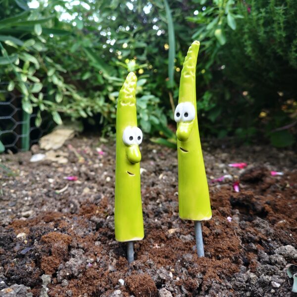 Gemüsestecker freches Gemüse Spargel – Bild 8