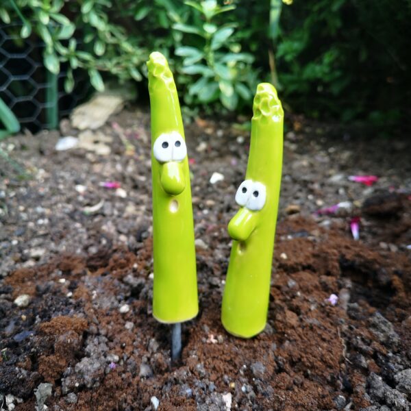 Gemüsestecker freches Gemüse Spargel – Bild 6