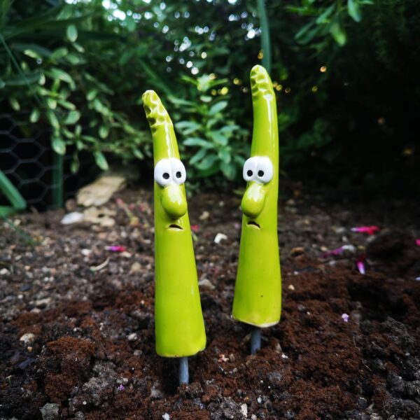 Gemüsestecker freches Gemüse Spargel – Bild 5