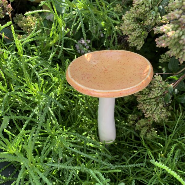 Pilz mini – Bild 4