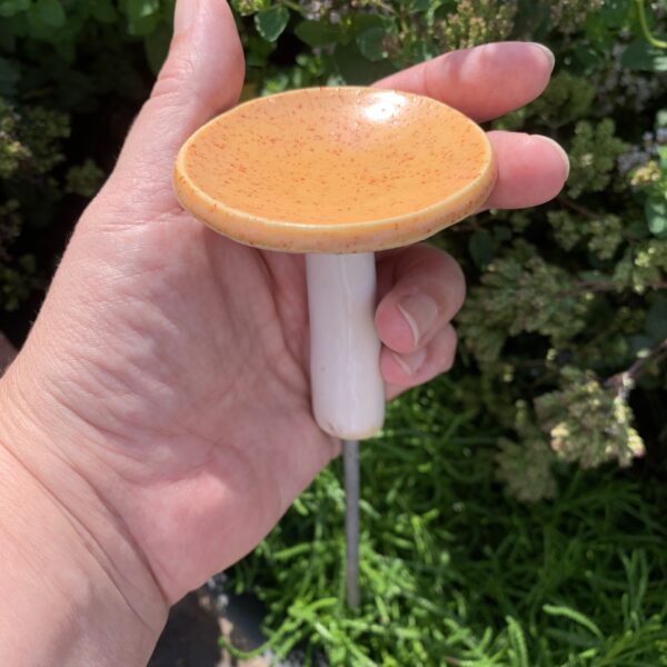 Pilz mini – Bild 5