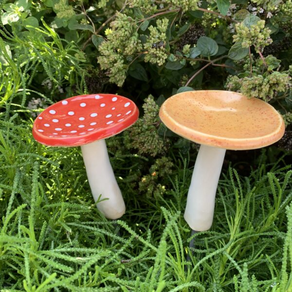 Pilz mini