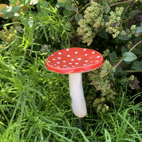 Pilz mini – Bild 2