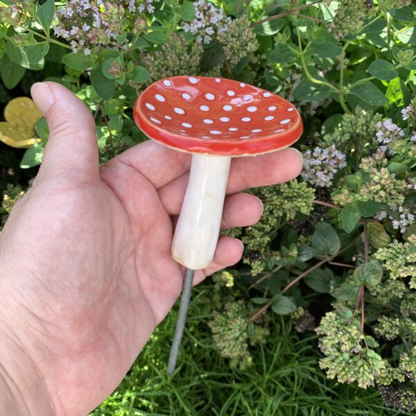 Pilz mini – Bild 3