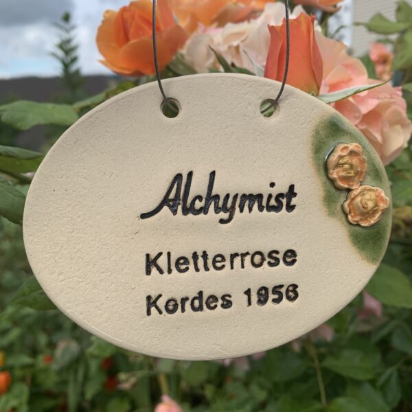 Rosenschild Alchymist