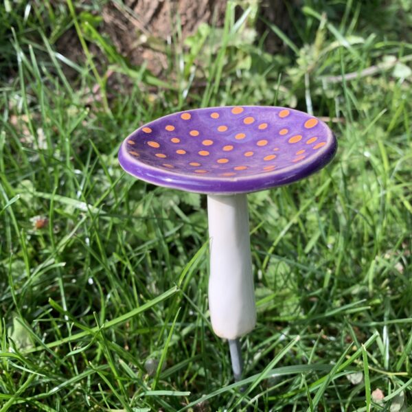 Pilz mini – Bild 6