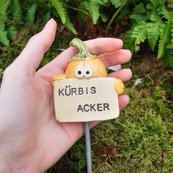 Gemüsestecker Kürbisacker